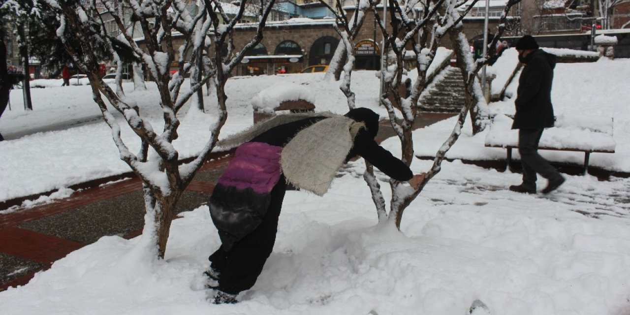 Karda Aç Kalan Hayvanlara Dikkat Çekmek İçin Arı Kılığına Girdi...
