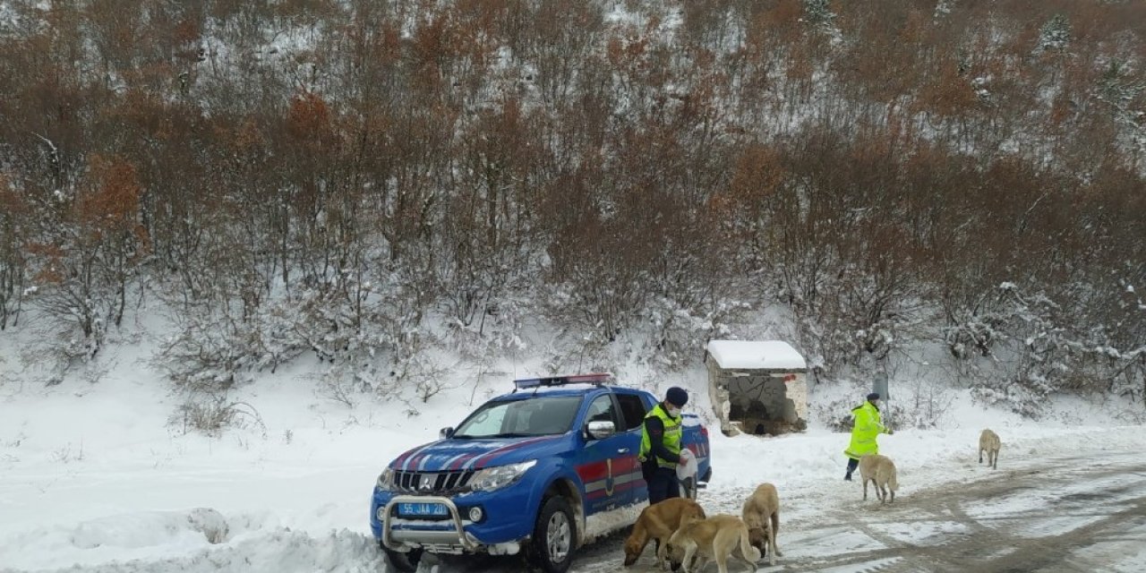 Jandarma Can Dostları Unutmadı