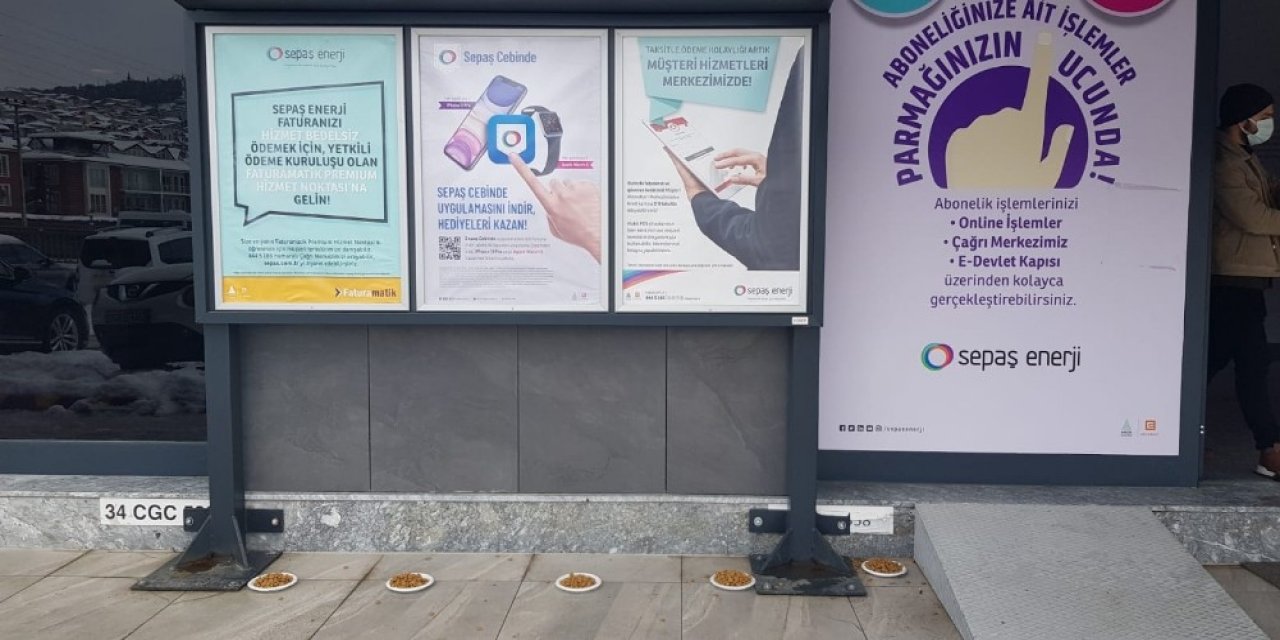 Sepaş Enerji Sokak Hayvanları İçin Mama Bıraktı