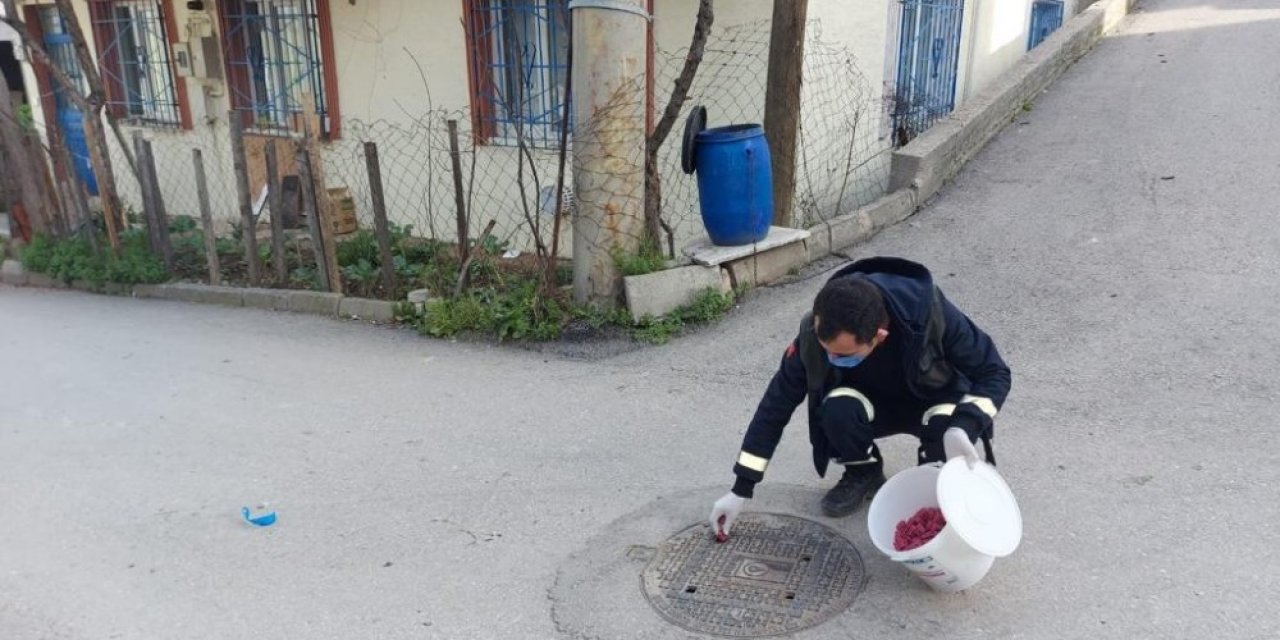 Haşerelere Karşı İlâçlama