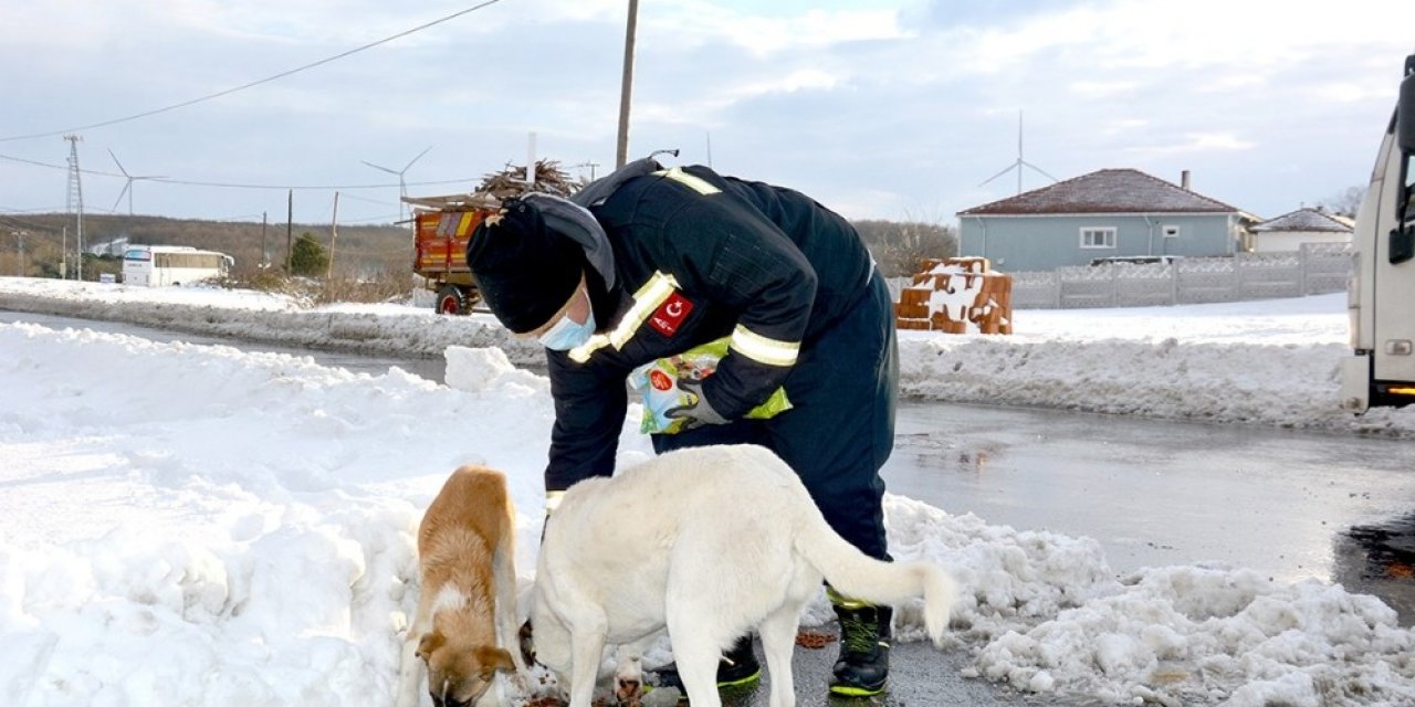 Hem Arıza Gideriyorlar Hem Aç Kalan Sokak Hayvanlarını Besliyorlar