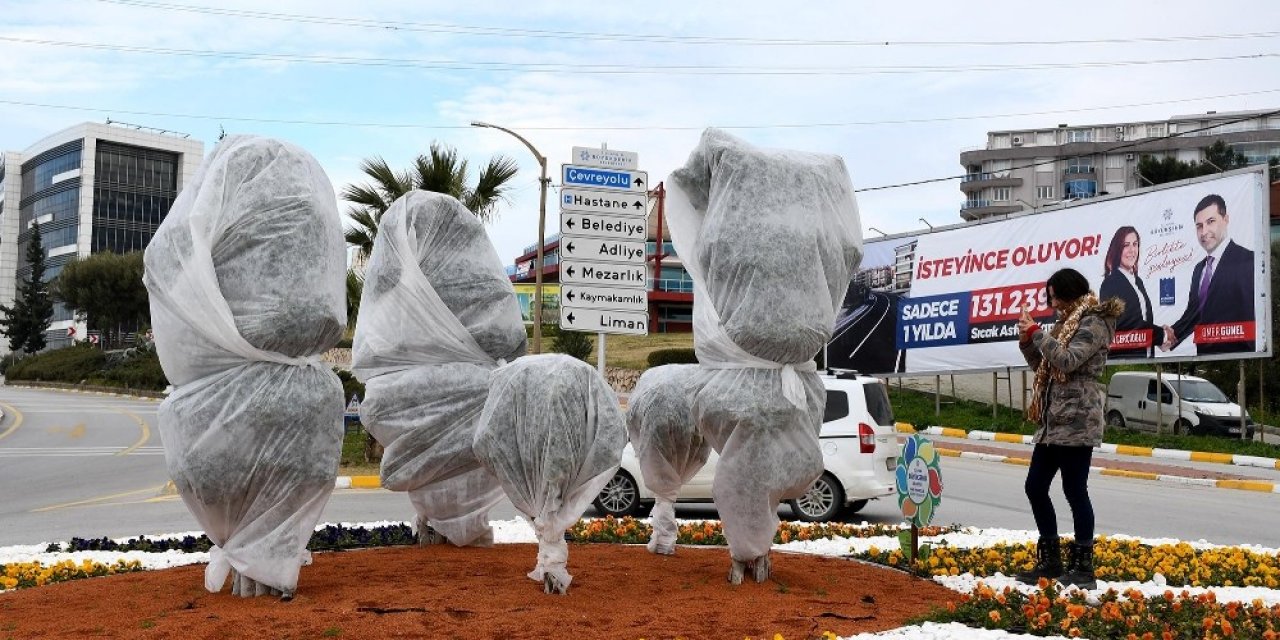 Ağaçları Dona Karşı Elyafla Korudular