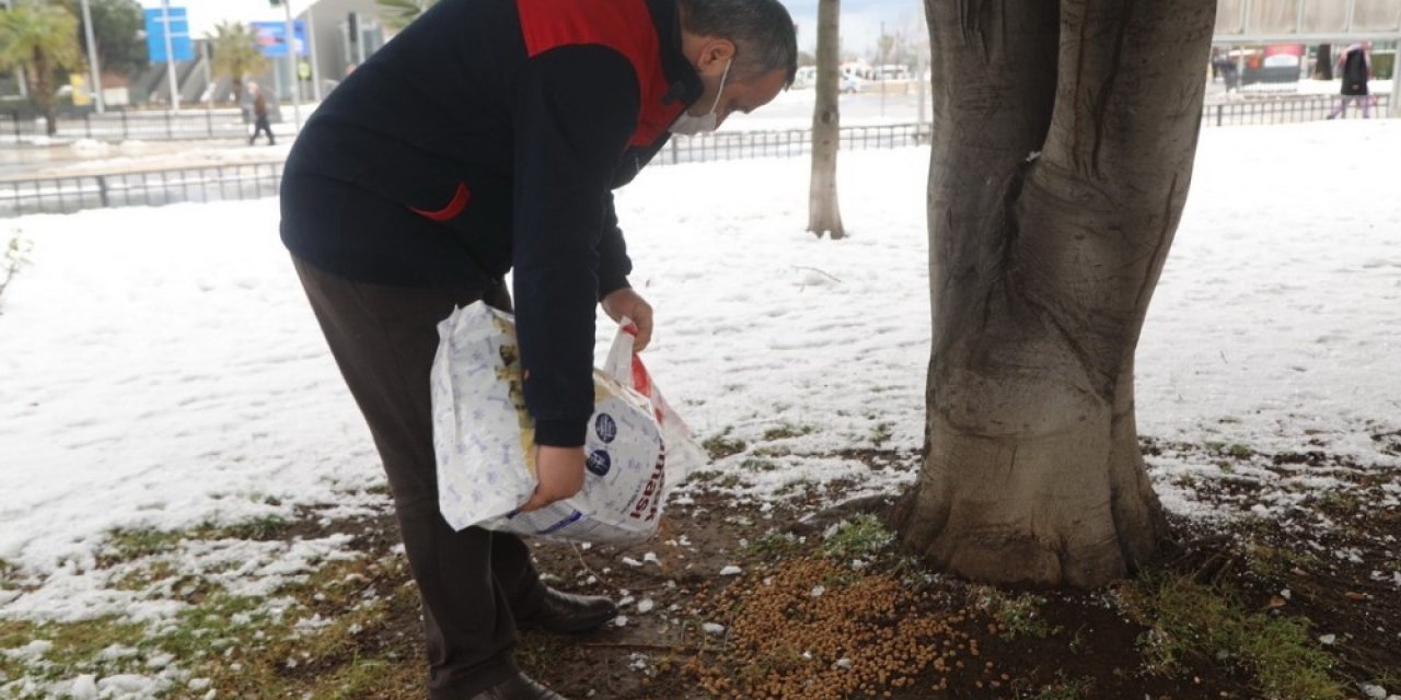 İ̇lkadım’da Can Dostları Unutulmadı