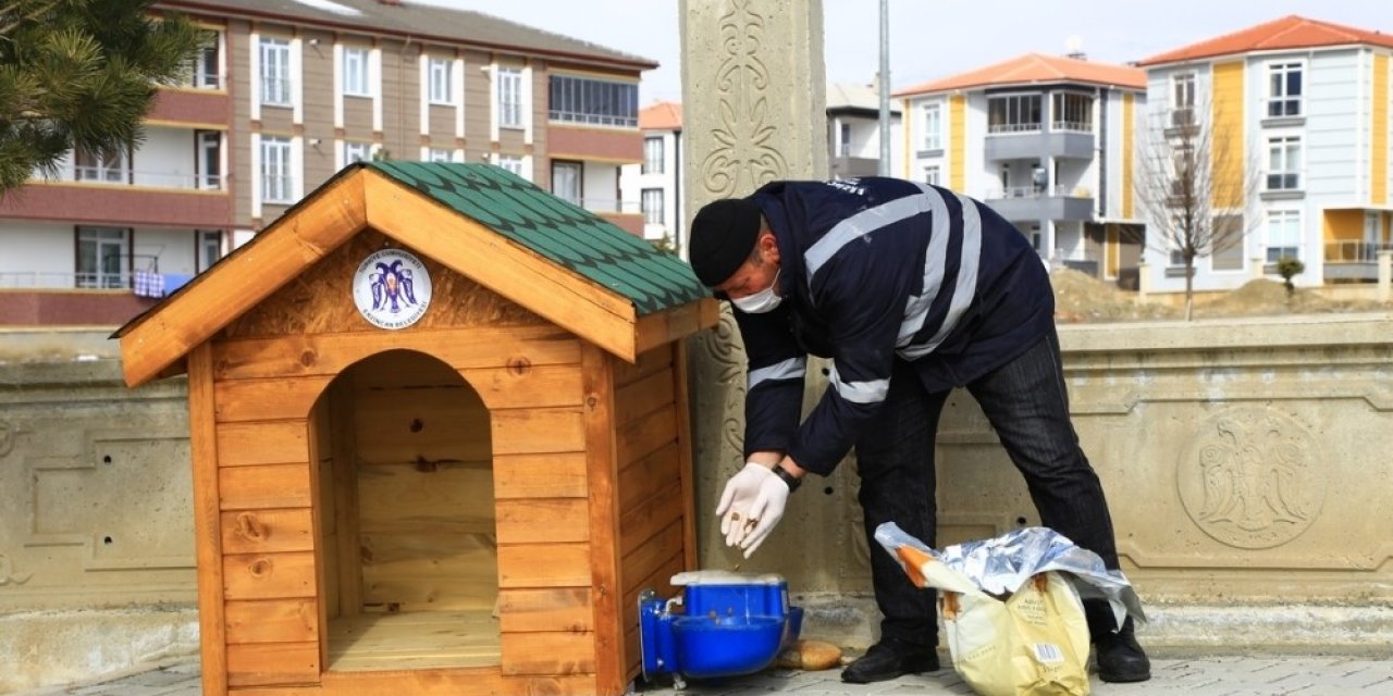 Erzincan’da Sokak Hayvanları İçin Üretilen Ahşap Barınaklara Mama Bırakıldı