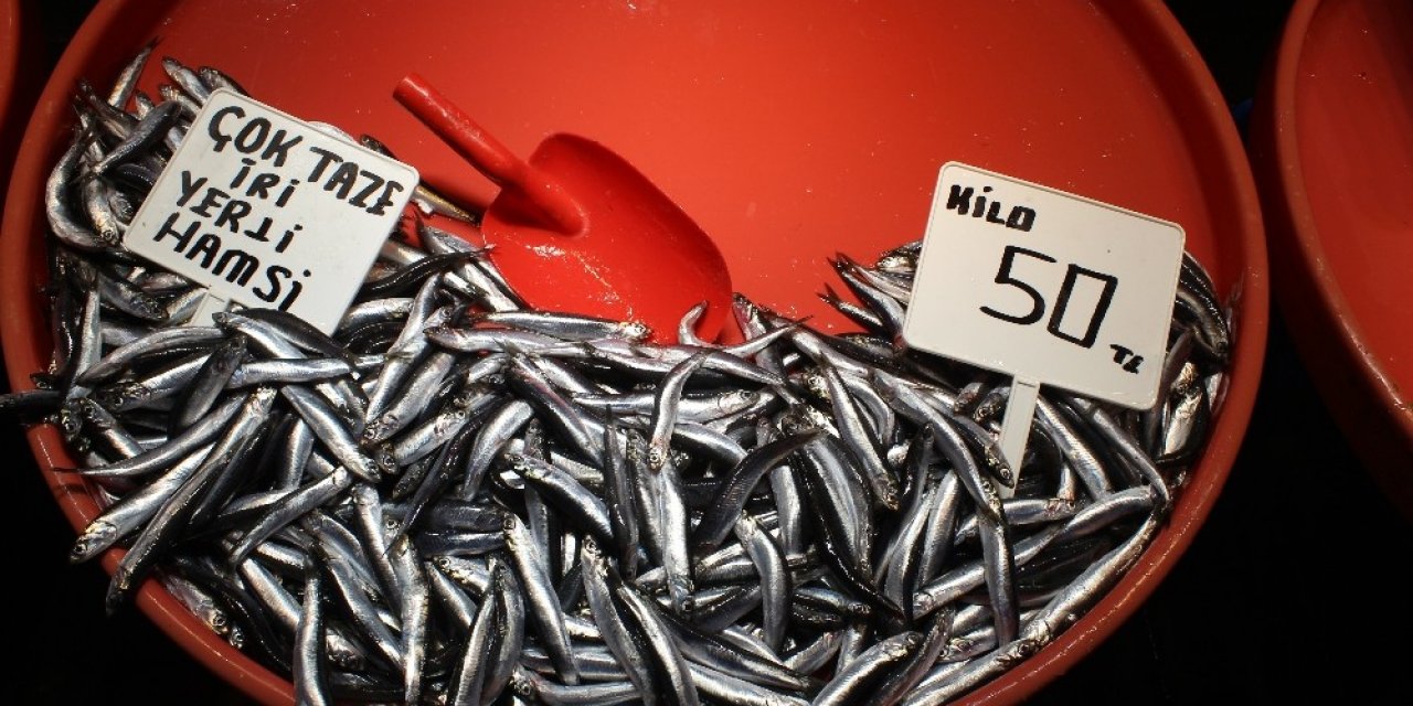 Fırtına Ve Soğuk Hava Balığı Vurdu