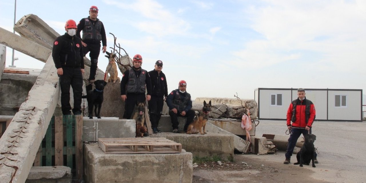 İ̇zmir’in Cesur Köpekleri