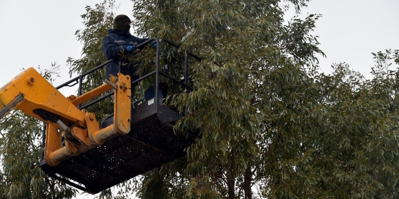 Aliağa Belediyesi Ekipleri Kalabak Mahallesi’nde
