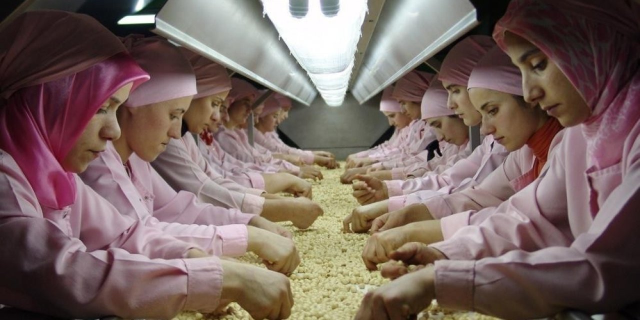 Düzce’den Avrupa’ya 2 Bin 428 Ton İç Fındık İhraç Edildi
