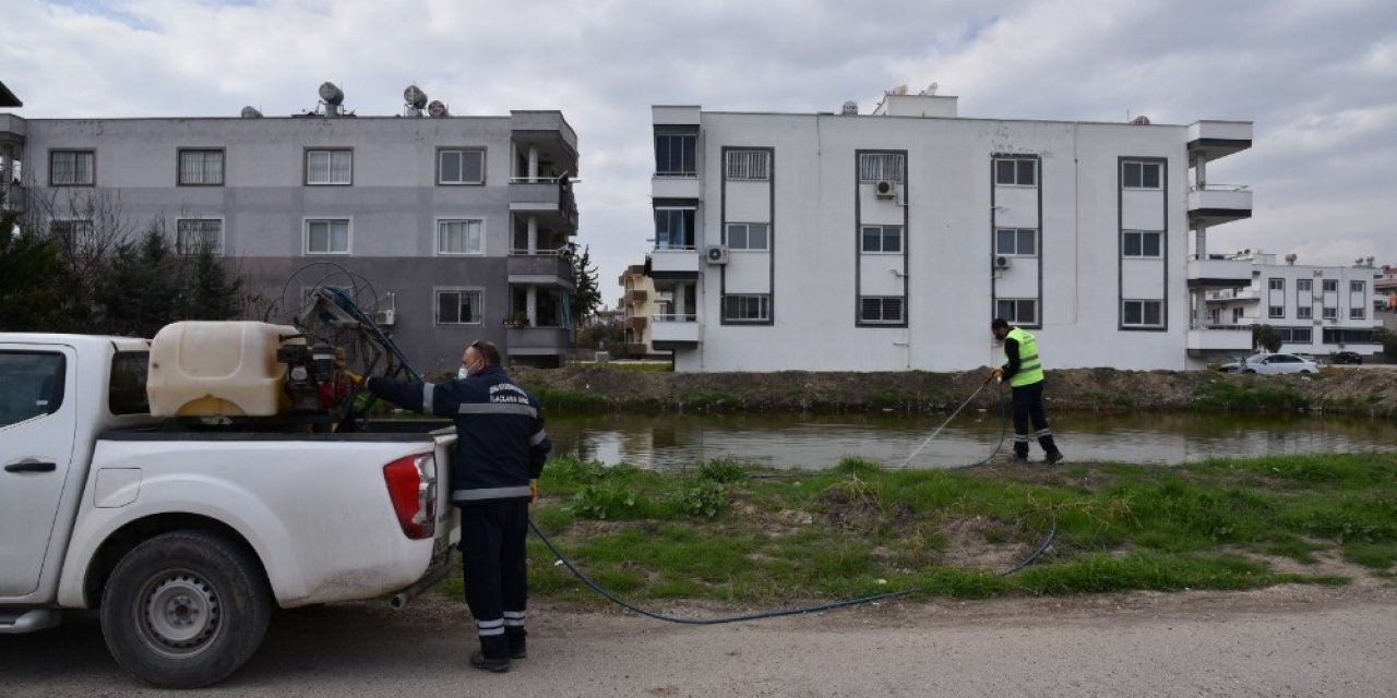 Ceyhan’da Sinekle Mücadele Başladı