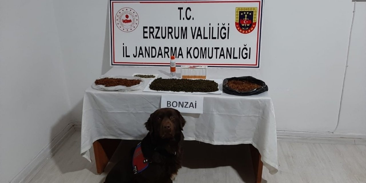 Erzurum’da Yapılan Operasyonlarda Uyuşturucuya Geçit Verilmedi