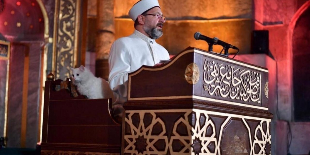 Ankara Kedisi ’kılıç’ Ayasofya’da Kandil Gecesi İlgi Odağı Haline Geldi