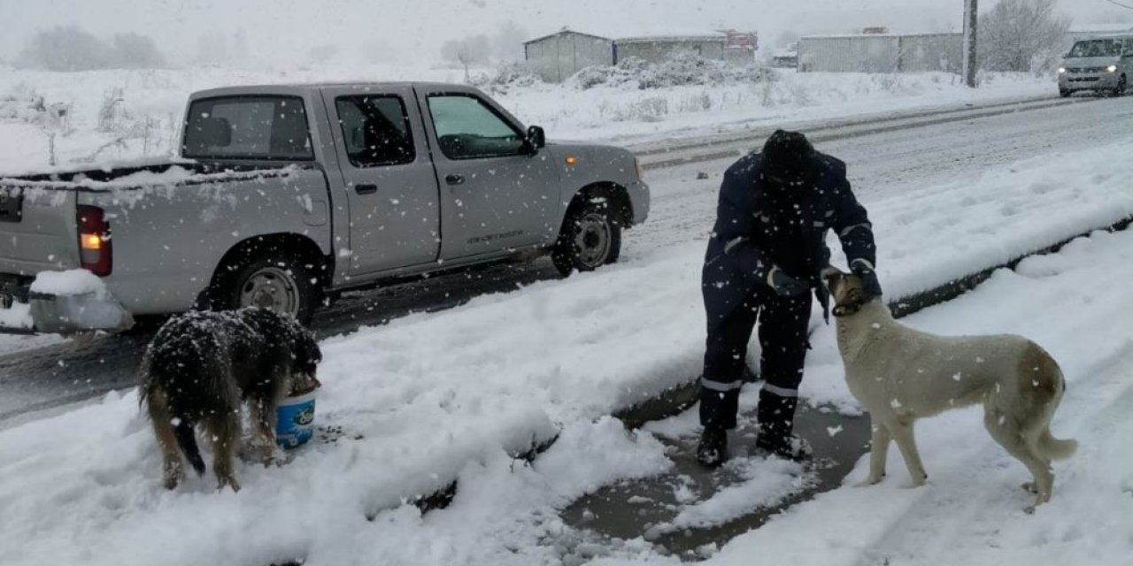 Oral: "can Dostlarımız İçin De Görev Başındayız"