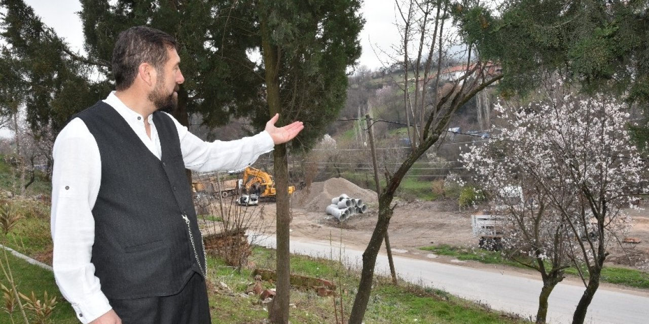 Kar Ve Don Çiçek Açan Ağaçları Etkiledi