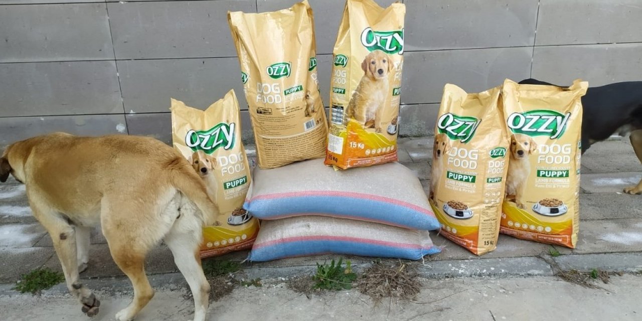 Sokak Hayvanlarını Ve Kuşları Beslemesi Karşılığında Şikayetinden Vazgeçti