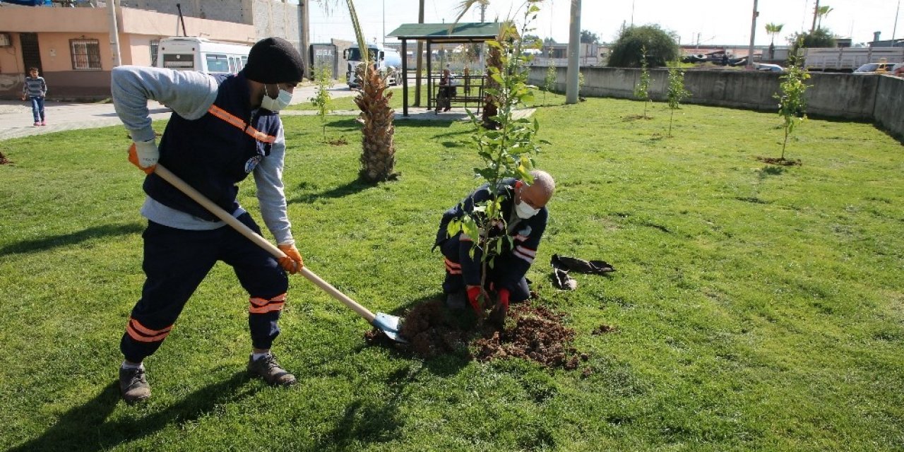 Akdeniz’deki Parklar Bakımdan Geçiriliyor