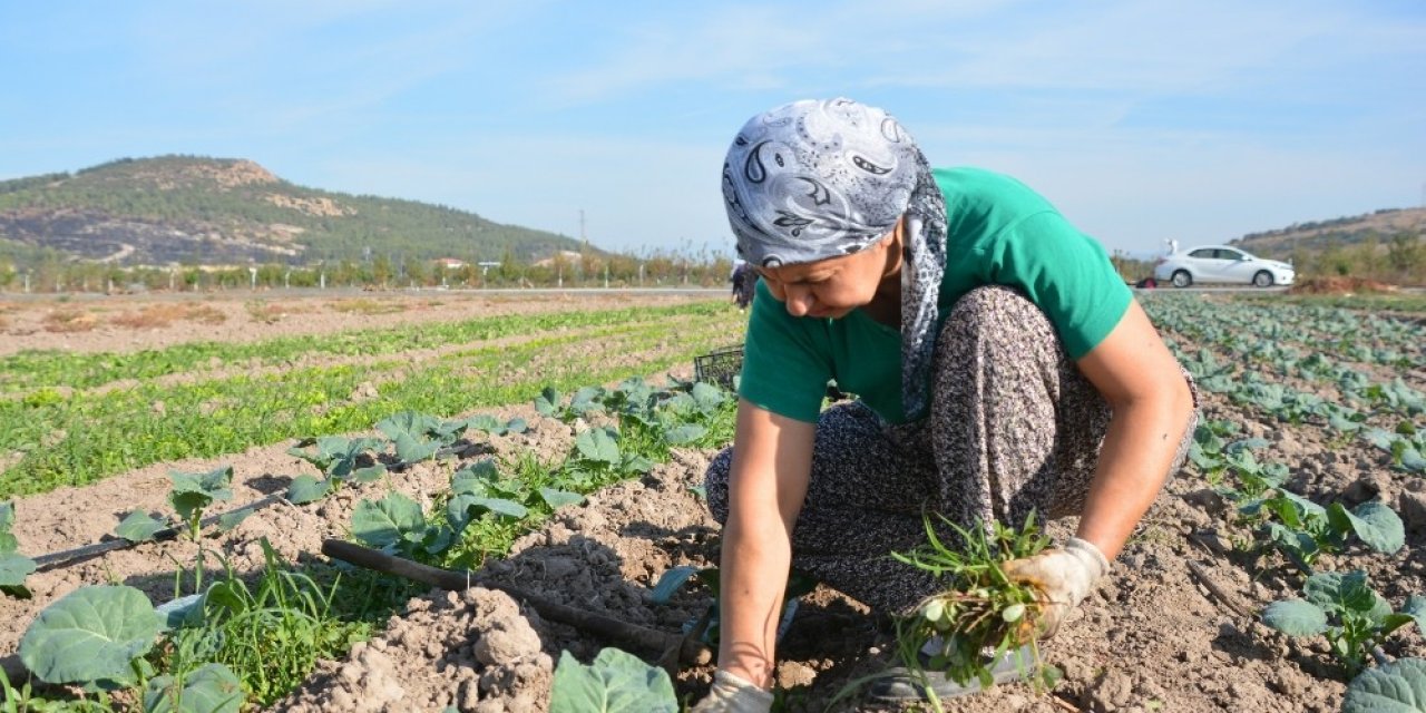 Aliağa Belediyesinden Türkiye’nin İlk Toprak Ve Tarım Atlası