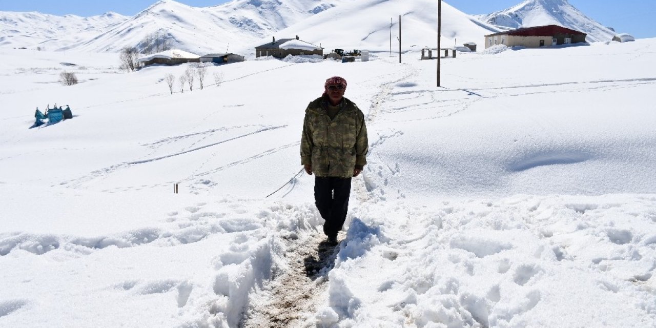 Yıllardır Karlı Dağlarda Hayvanlarıyla İç İçe Yaşıyor