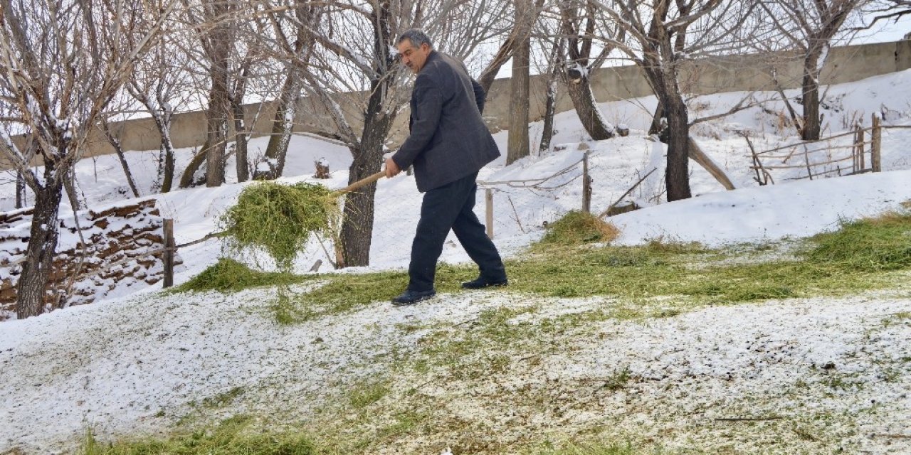 Ağrı’da Hayata Geçirilen “5 Yılda 750 Bin Koyun” Projesi Meyvelerini Vermeye Başladı