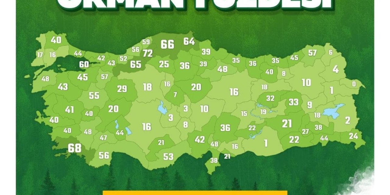 Aydın’ın Yüzde 40’ı Ormanlarla Kaplı