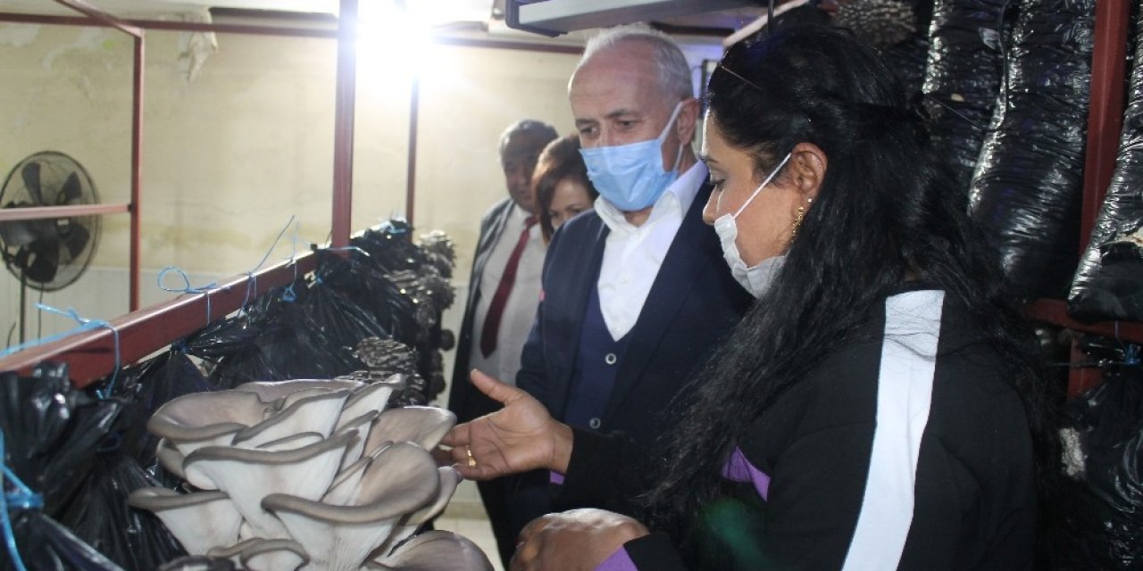 Kadınlar Üretecek Çocuklar Eğlenecek