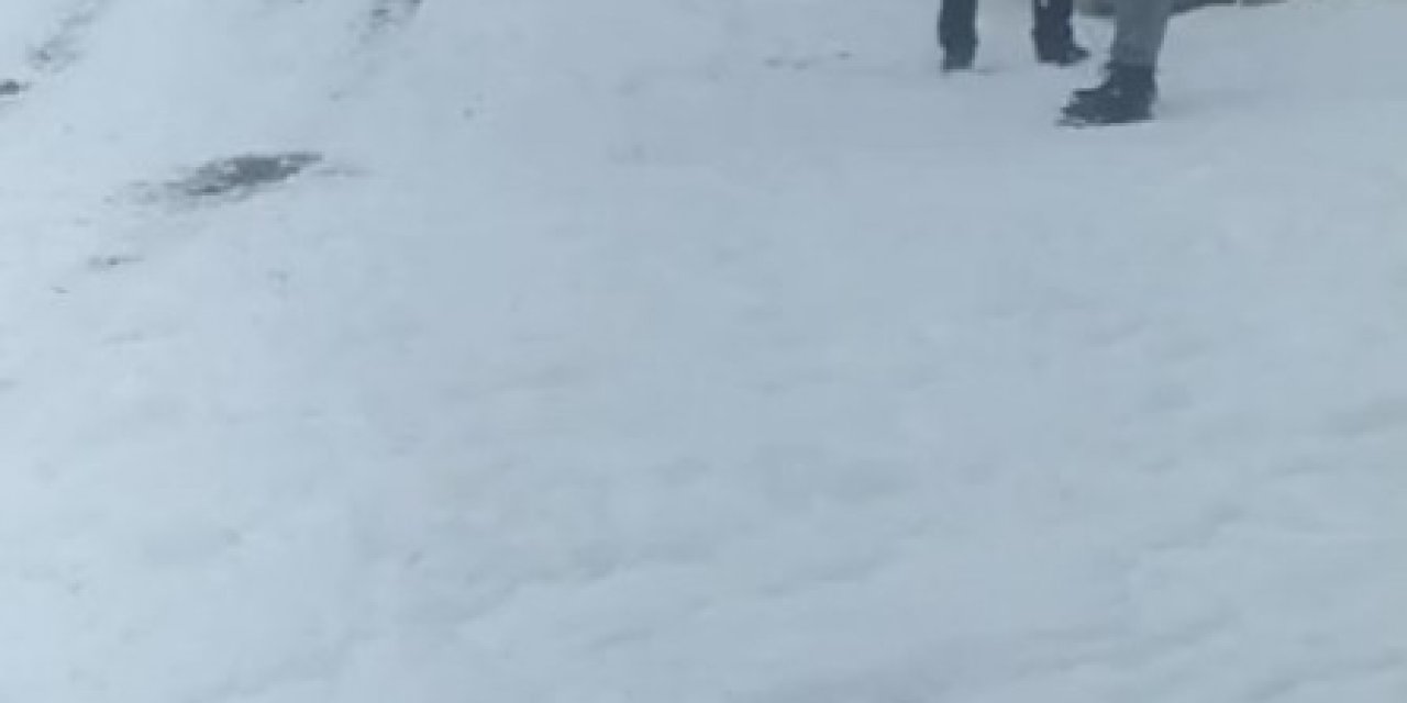 Karda Kayan Taksiden Atlayan Yolcu Kamerada