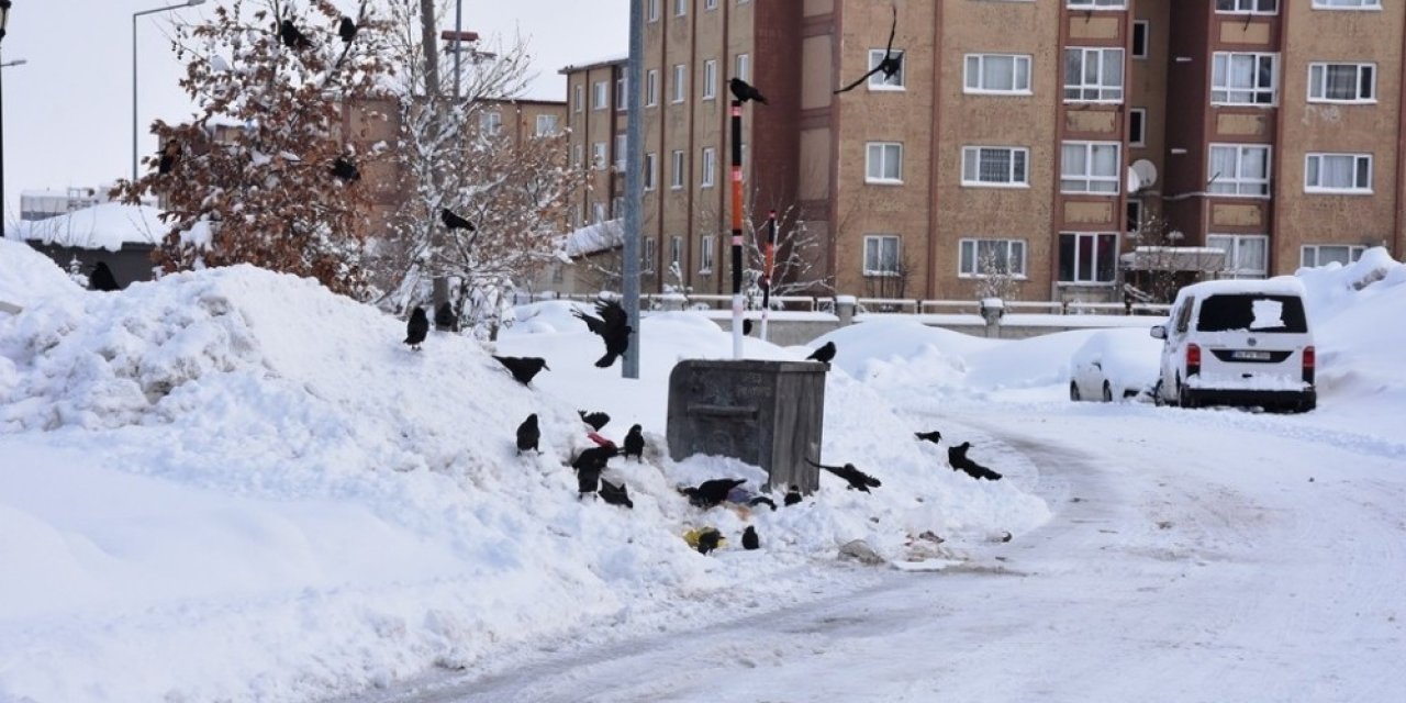 Bitlis Kara Gömüldü