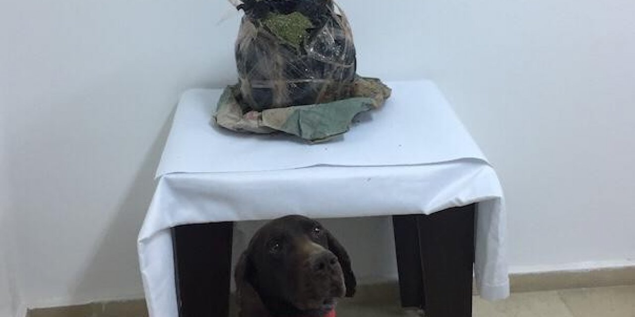 Batman’da Durdurulan Araçtan Uyuşturucu Çıktı