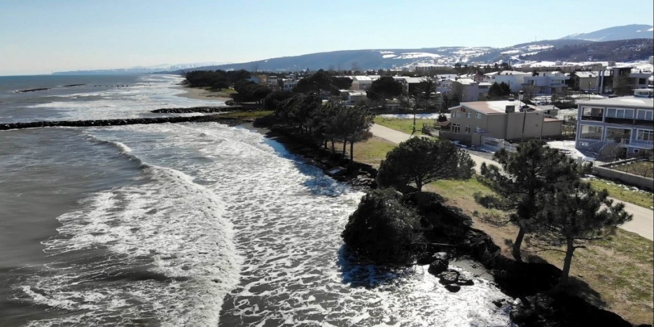 Kıyı Erozyonu Birçok Ağacı Kökünden Söktü