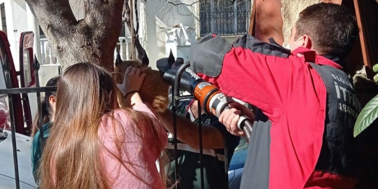Korkuluk Demirine Sıkışan Kediyi İtfaiye Kurtardı