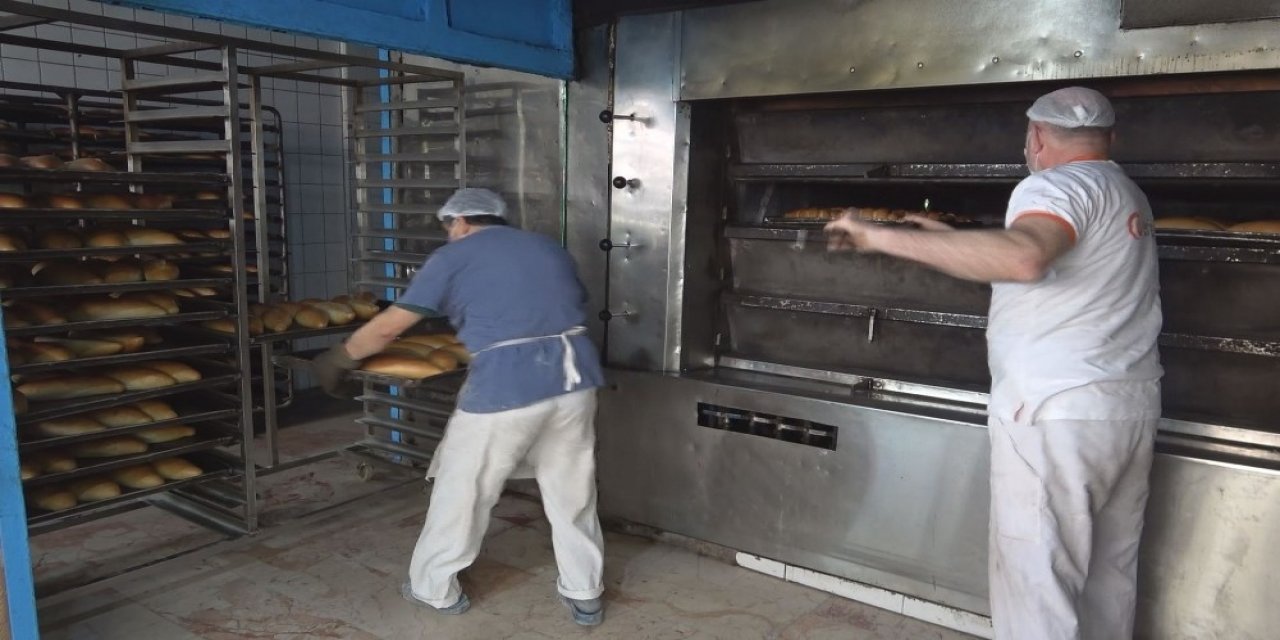 Hafta Sonu Sokaklar Sokak Hayvanlarına Kaldı