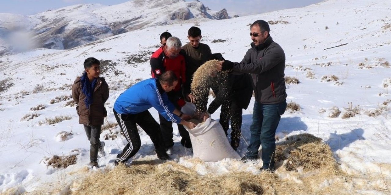 Erzincan’da Yılkı Atları Ve Yaban Hayvanları İçin Doğaya Yem Bırakıldı