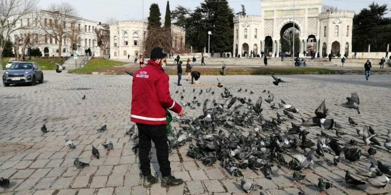 Fatih Belediyesi Kısıtlamada Sokak Hayvanlarını Unutmadı