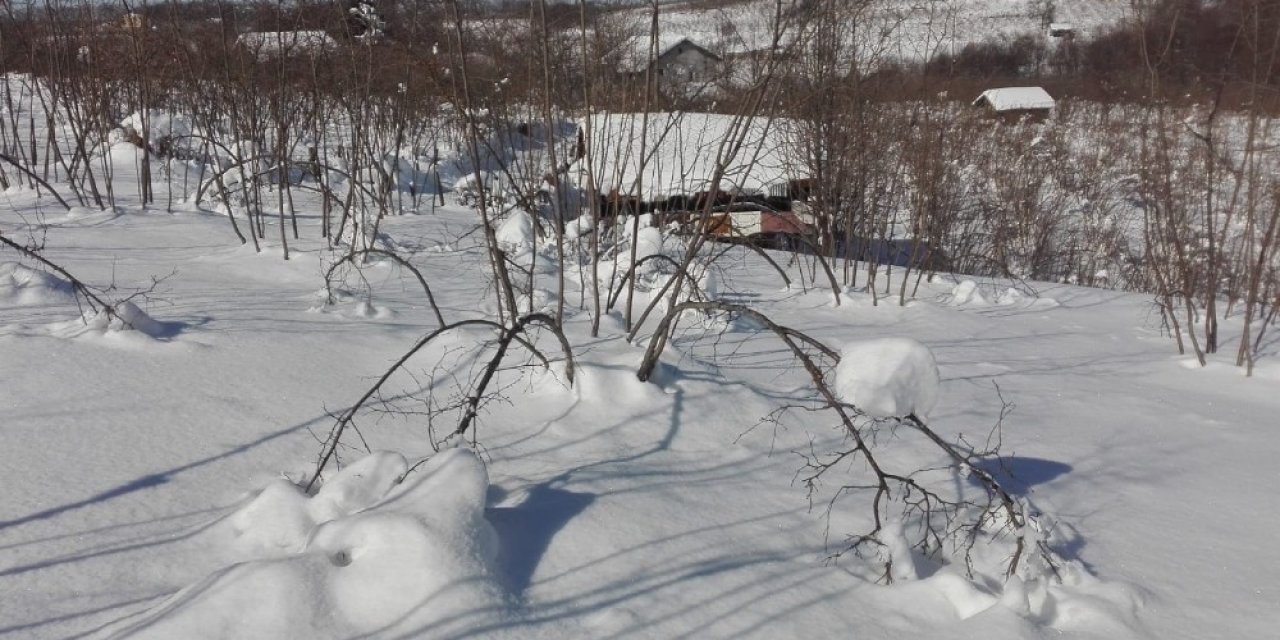 Kar Yağışı, Fındık Dallarının Belini Büktü