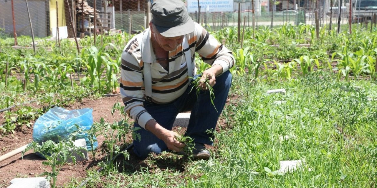 Hobi Bahçeleri İçin Kura Çekilişi Yapılacak