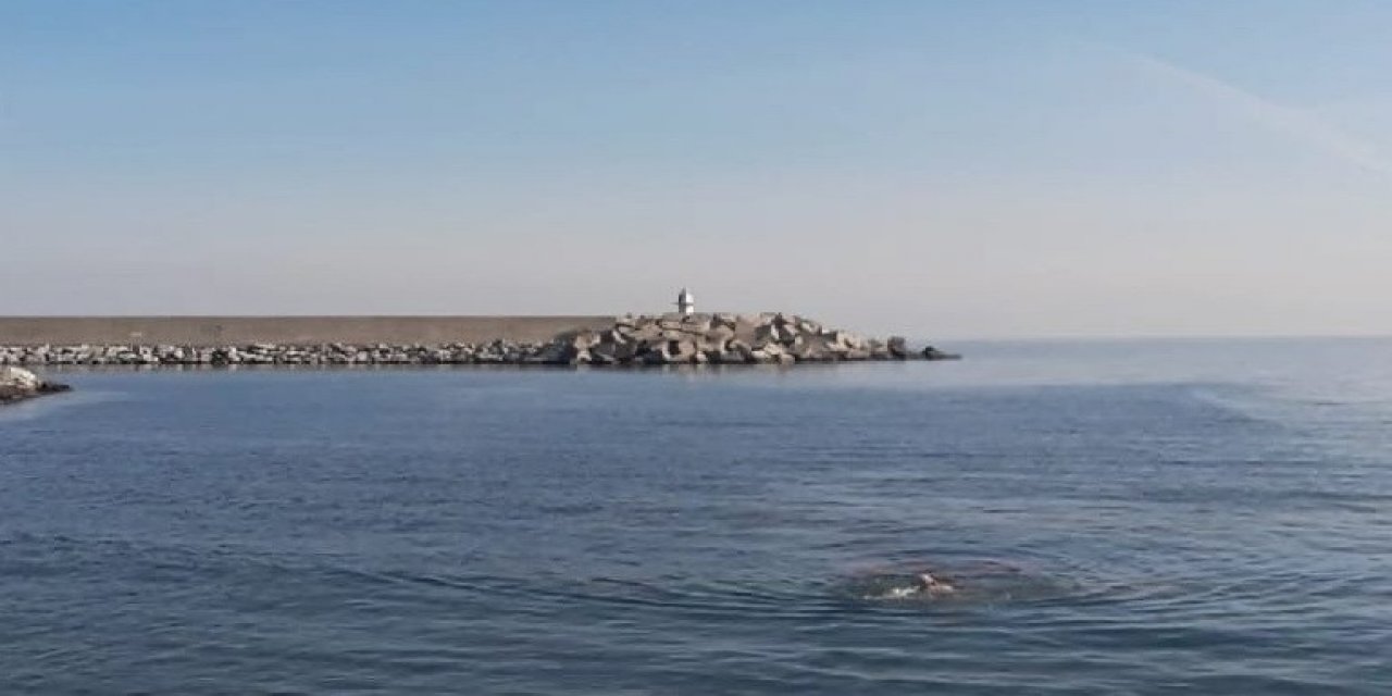 Kış Ayında Denize Girdi