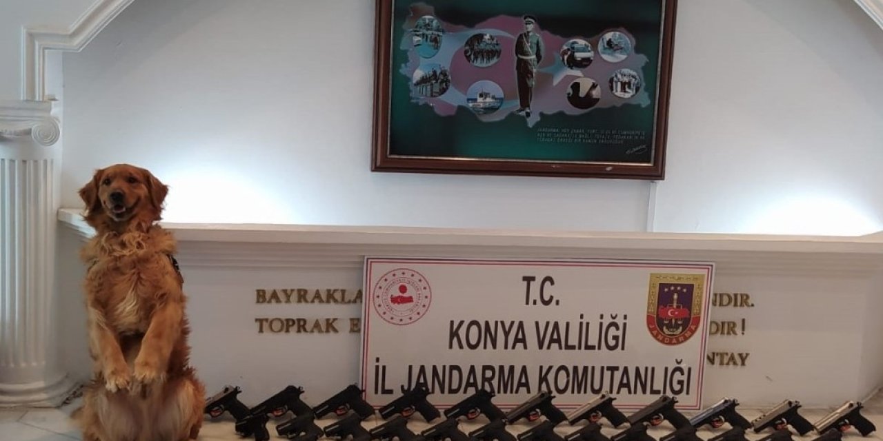 Denizli Jandarması Silah Kaçakçılarına Geçit Vermedi