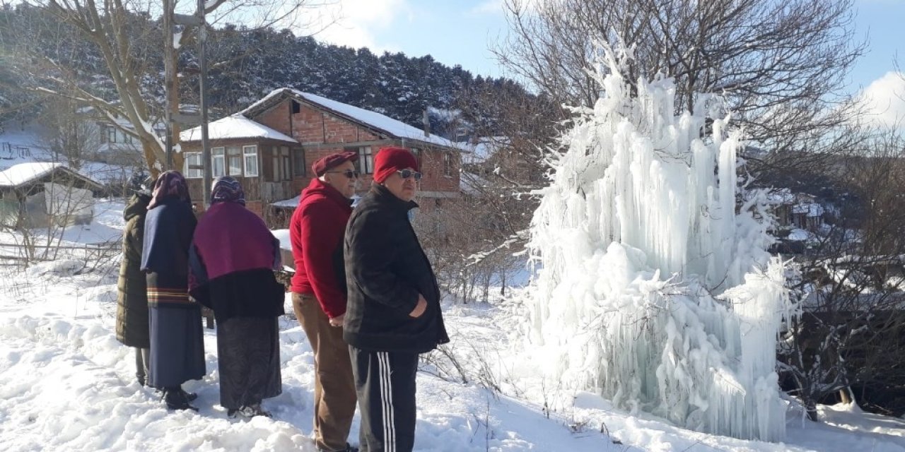 Su Borusu Patladı, Buzdan Ağaca Dönüştü