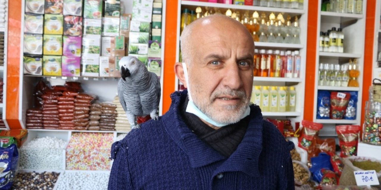 Papağan Paşa, 500 Kelime Konuşuyor Ve Dua Okuyor