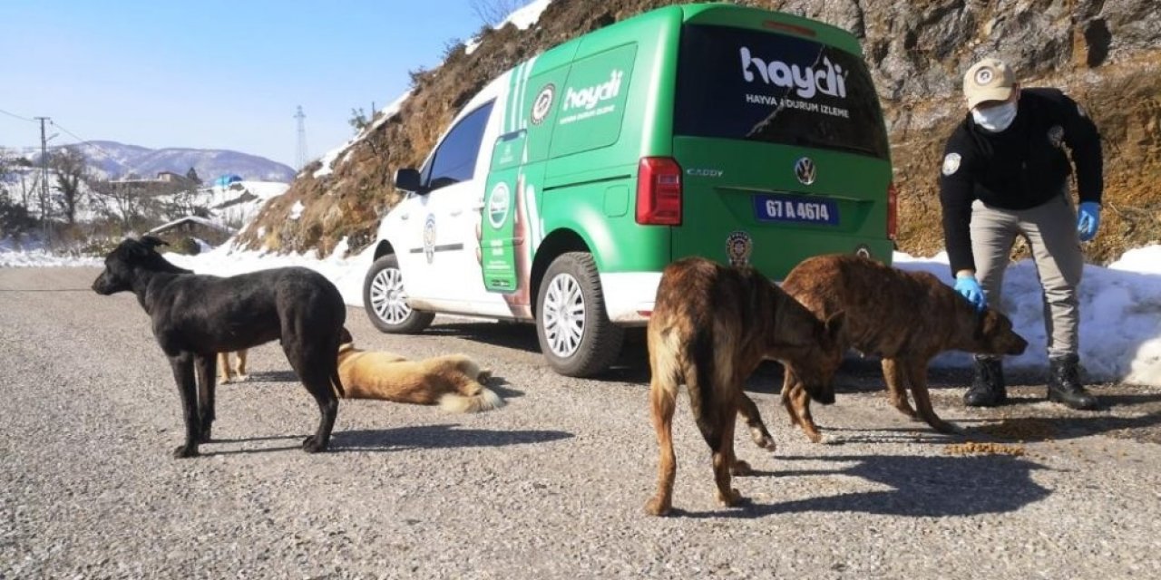 Zonguldak Polisi Sokaktaki Canları Unutmadı