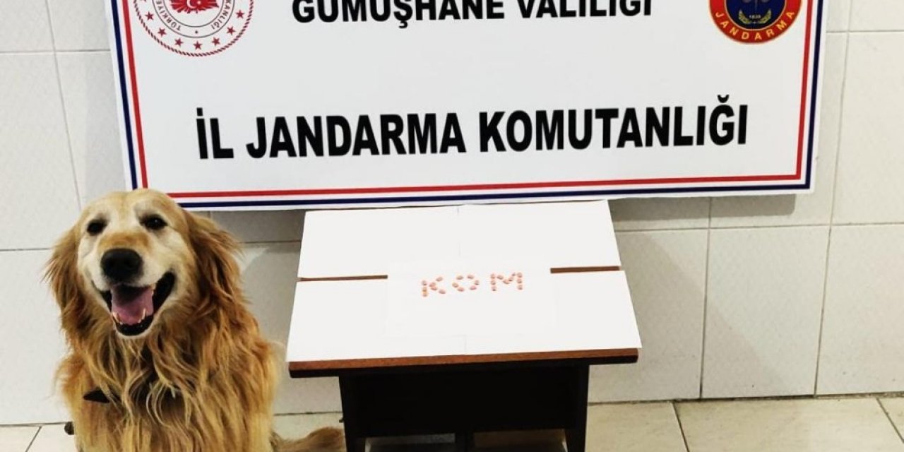 Gümüşhane’de Extacy Hap Ve Tütün Operasyonu