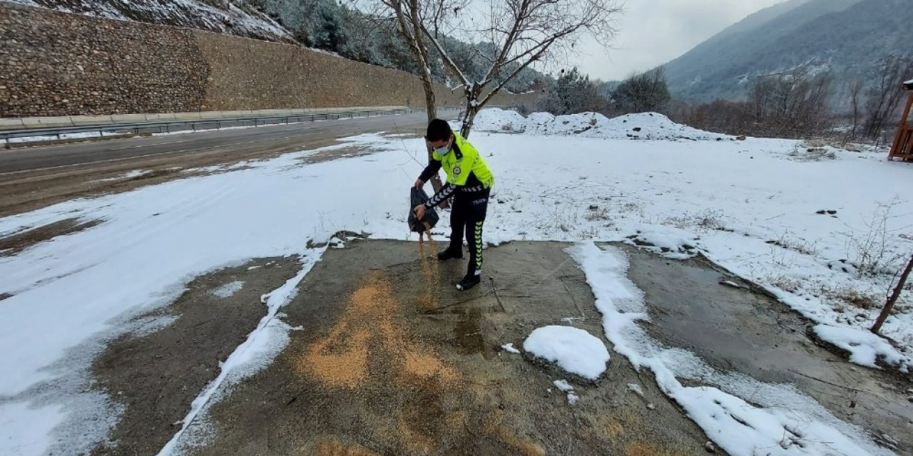 Amasya’da Polisler, Yaban Hayvanları İçin Doğaya Yem Ve Ekmek Bıraktı