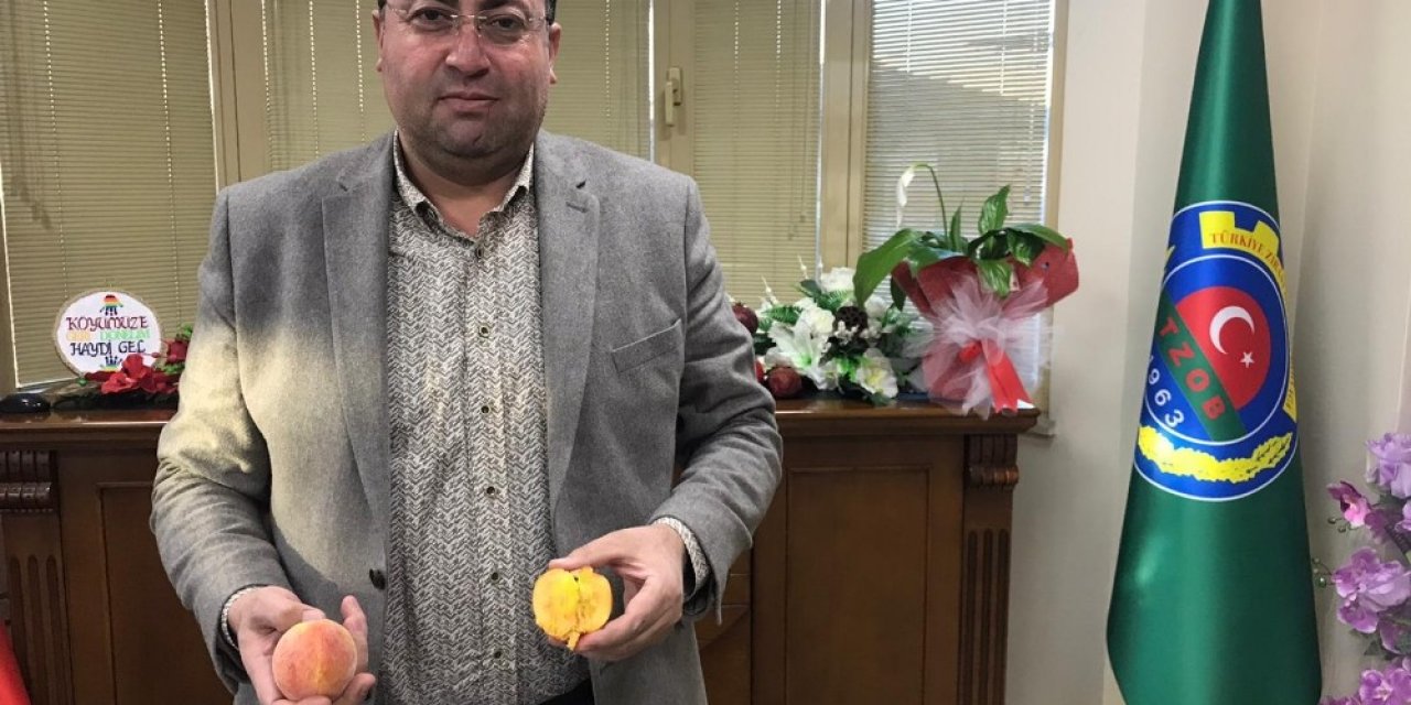 Sezonun İlk Turfanda Şeftalisi Tarsus’ta Hasat Edildi