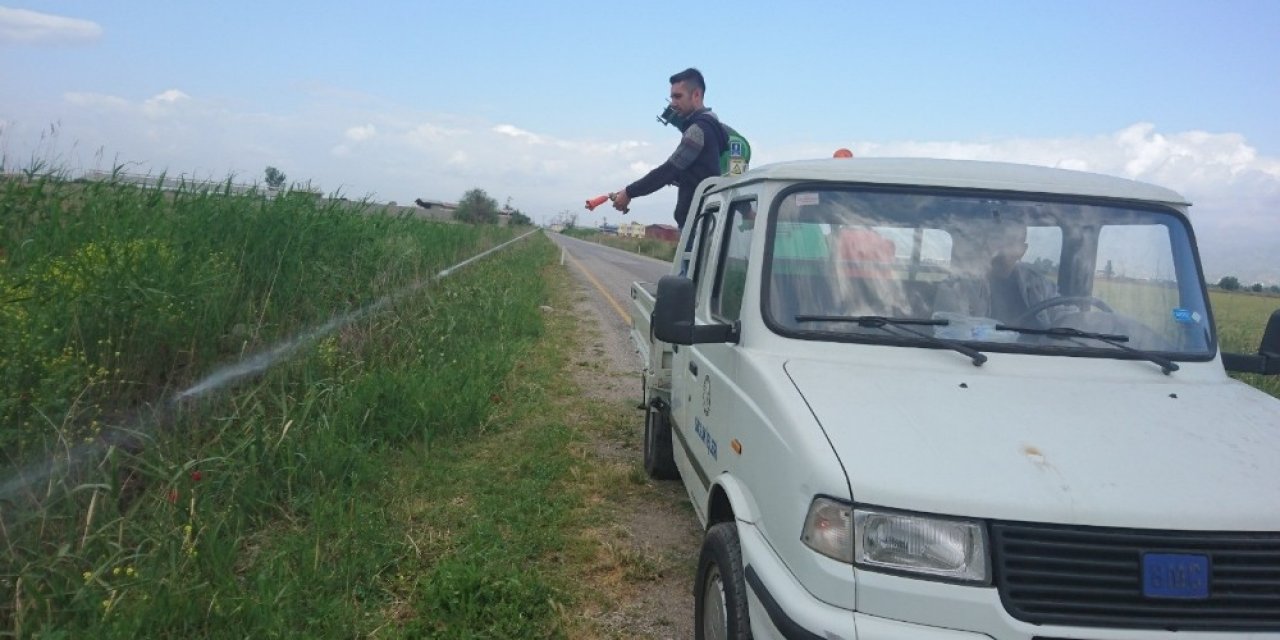 Nazilli’de Haşereyle Mücadele Başladı