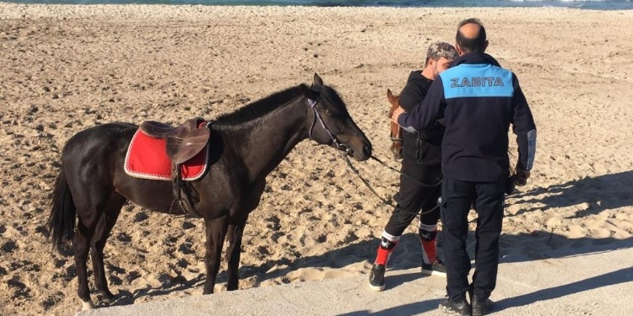 Sakatlanan Yarış Atına Çeşme’de Plaj Engeli
