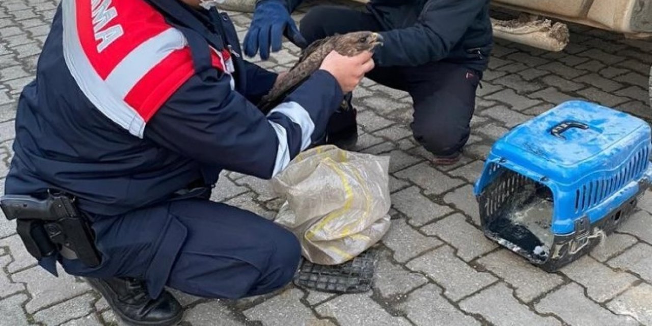 Yaralı Doğan’a Jandarma Şevkati
