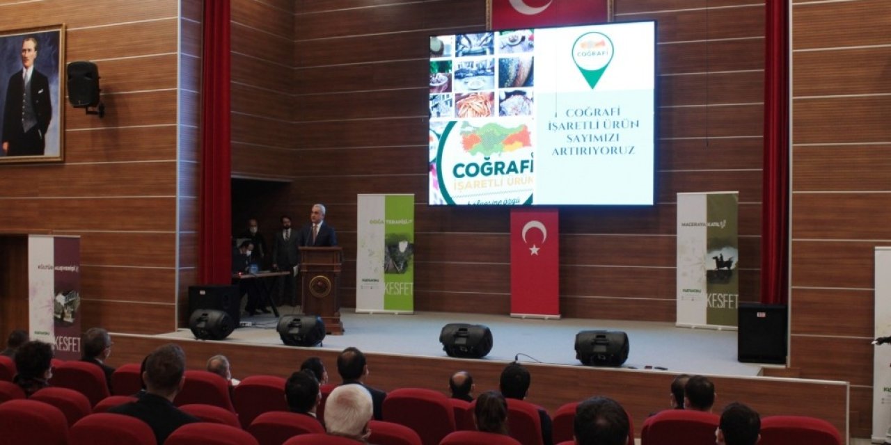 Kastamonu, Turizmin Yıldızı Olacak