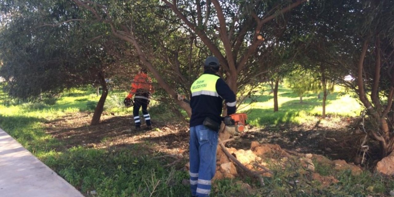 Didim’de Yeşil Alan Çalışmaları Devam Ediyor