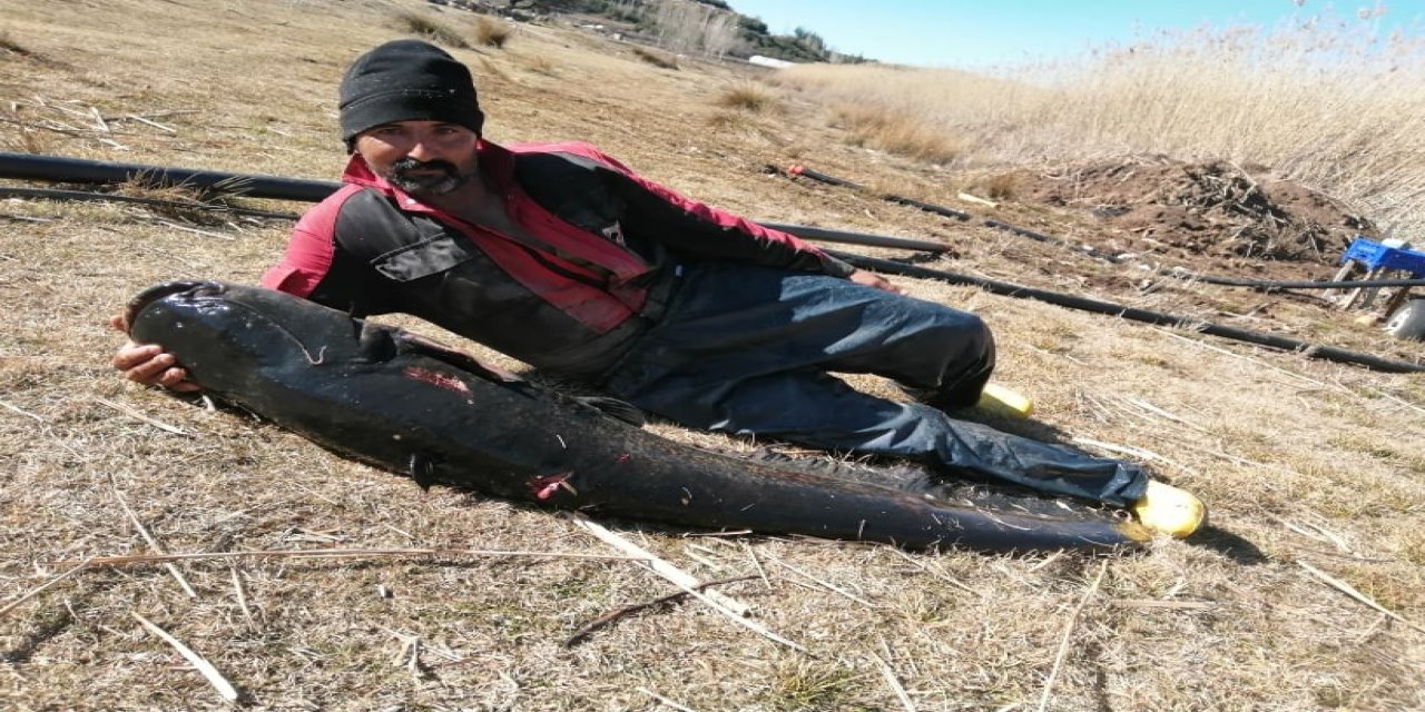 Burdur’un Gölhisar Gölü’nde Ağa, Rekor Büyüklükte Yayın Balığı Takıldı