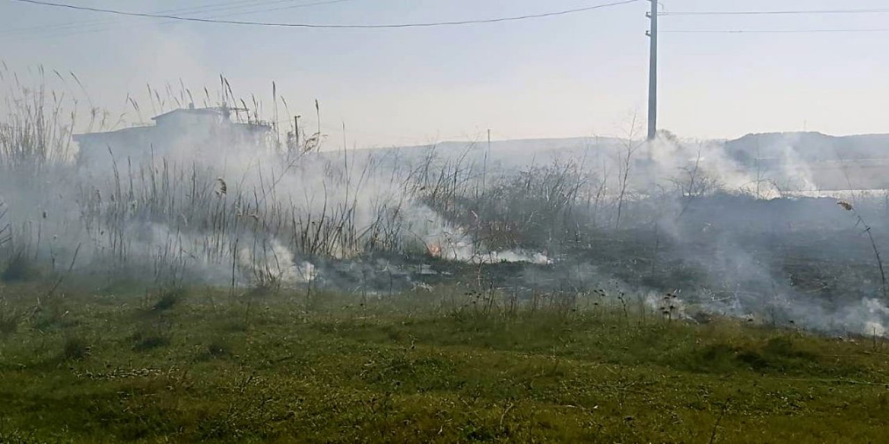 Yangın Gömeç Sahilini Duman Altında Bıraktı