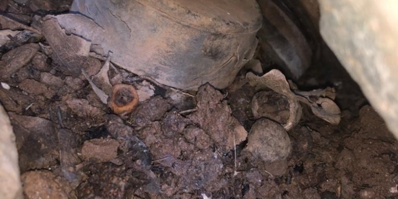 Çukurca’da Anti Personel Mayını Ele Geçirildi